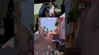 SR Noia Gets 4k With Calm Aim!