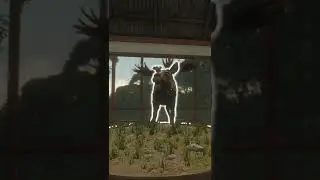 NEW MOOSE MULTIMOUNT Showing All The Poses #Shorts