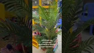 Artificial palm tree plants easy to maintain for your home decor both indoors and outdoors.
