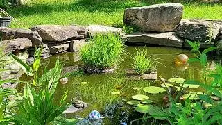 The Five Senses Tour @ Tiffany Garden Preview Drone Video