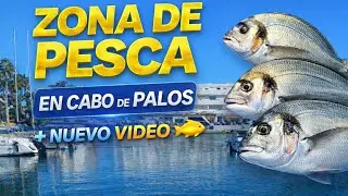 Zonas de Pesca en Cabo de Palos