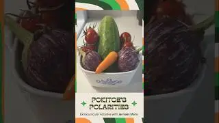 Pokitoe&rsquo;s Polarities