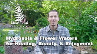 Hydrosol & Flower Waters for Healing, Beauty, & Enjoyment
