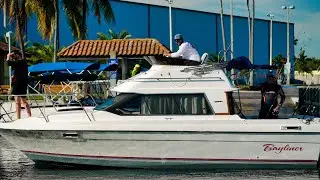 The Crusher is Back ! Bayliner Captain Reveals he's #1 (Chit Show)