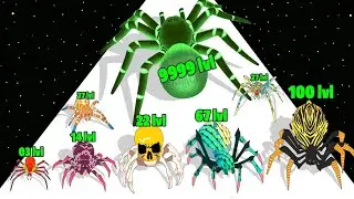 Spider Evolution Runner - Level Up Last Spider Max Level Gameplay (Insect Evolution Run) New Update