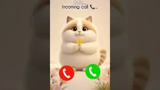 #cat #TrendingRingtone #BestRingtone #MobileRingtone #ViralRingtone #WhatsAppRingtone #HelloTone
