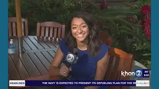 Live interview with Hawaiian Humane Society on fireworks and pets
