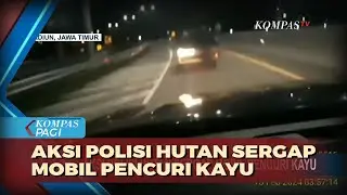 Aksi Polisi Hutan Sergap Pencuri Kayu Jati di Madiun