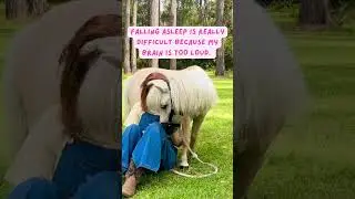 Why I love pony therapy for my AUDHD & OCD!