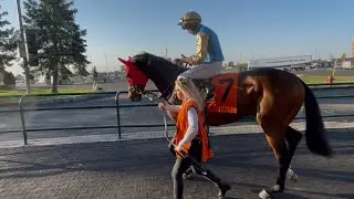 2025 Canadian International Stakes (GR.1) Field 