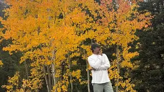 Colorado Trip Glimpse || Denver || Rocky Mountain National Park|| Colorado Springs || YMCA