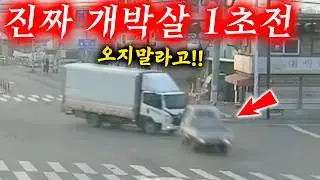 미친듯이 달려와서 개박살 내놓고 거짓말하길래 CCTV를 확인해봤더니.. 2025최신블랙박스모음집 I 그것이 블랙박스