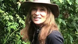 yampu trip to Uganda gorrila trekking ron sturgeon & linda allen
