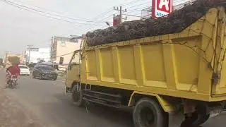 Ini ada kenampakan orang Amerika mobil  Isuzu