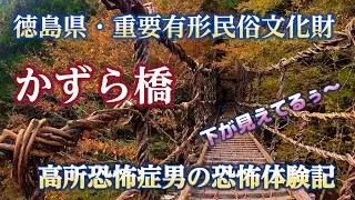 徳島県、かずら橋、高所恐怖症男2人の恐怖体験記！秘境に佇む「奥祖谷二重かずら橋」は紅葉の季節に是非行っていただきたいスポットです。