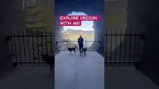 Mini Vlog | Exploring OREGON | Viral View Point #views #viraltiktok #oregon #historical