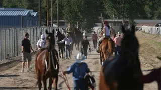Live horses, historical racing: Group says gambling machines key to reopening Les Bois