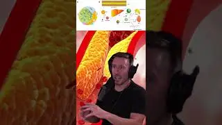 Understanding Cholesterol: LDL, HDL, and Their Crucial Roles | Paul Saladino on Joe Rogan #1551