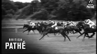 Stewards' Cup (1952)