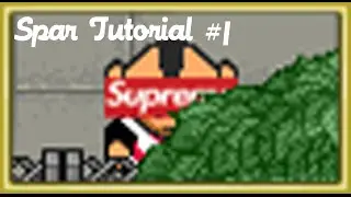 Graal: Era PC Sparring Tutorial#1| Basic Mechanics and Maneuvers