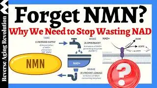 Забыли про NMN? Почему нам нужно перестать тратить NAD впустую!!!