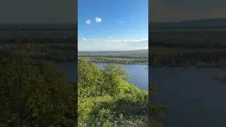 Велопрогулка в лесу