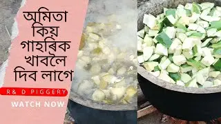 How to make local pig feed? Use of papaya! অমিতা কিয় গাহৰিক খাবলৈ দিব লাগে?