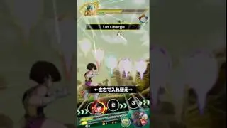 Mono str team vs phy legendary super saiyan broly stage 3 super
