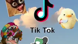 Подборка видео из Тик Тока про Pony town✨(2 часть)