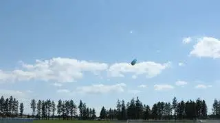 Mighty Bug 0.5 Stunt Kite | Sport Kites | KiteGarden.com