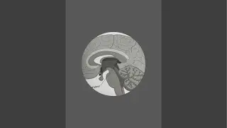 Beautiful people network  is live