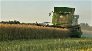 Żniwa rzepaku 2022 / John Deere T550i / John Deere 620R / Scania R420