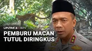 Pemburu Macan Tutul Diringkus | Liputan 6