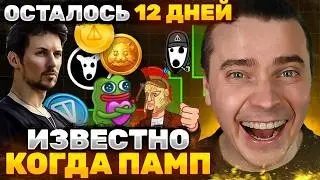 ⚠️ДУРОВСКИЙ МЕГА ПАМП УЖЕ СОВСЕМ БЛИЗКО 🟢 TONCOIN, DOGS, NOTCOIN, HMSTR, СТИКЕРЫ, ПОДАРКИ! НЕ УПУСТИ