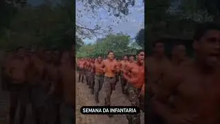 Somos fogo e movimento