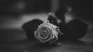 Max Richter - The Blue Notebook (Piano Works)