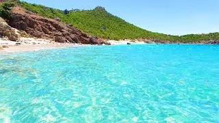 Liquid Therapy: 3 Hours of Tropical Island Bliss (4K Video)