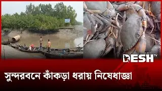 Ban on crab fishing in Sundarbans | Crab fishing | Satkhira News | Desh TV