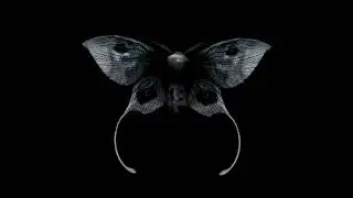 Haemolymph - Hollow Moon [ official visualiser ]