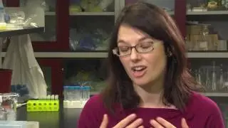 Dr. Dawn Bowdish on Respiratory Research