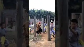 Shaolin Kungfu in Thailand, Shaolin in Bangkok, Tai-Chi, Kungfu, Gongfu