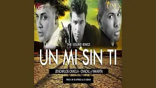 Un Mi Sin Ti