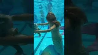 Swimming with #Merbaby at MermaidConvention #mermaids #merman #shortsfeed