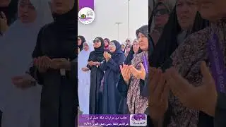 المزارات 