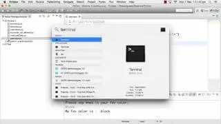 010 Creating first user interacting script.mp4