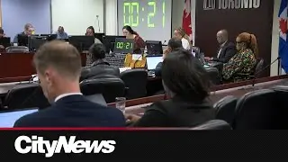 City Hall committee says bubble zone bylaw is too broad and will hurt minorities