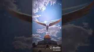 Bekingan nya adalah malaikat dan negara lainnya