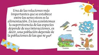 INTERACCIONES ENTRE ECOSISTEMAS