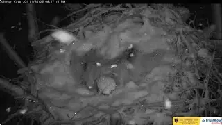 Jolene and Boone, snowstorm ETSU Eagle Cameras Johnson City Cam 1 / Cam 3: ETSU Eagle Camera