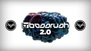 Viper Presents: Bassrush 2.0 Megamix (Mixed by Kallan HK)
